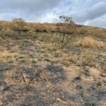 Chácara de 5 Mil mts ( Próxima ao Posto Cherokee — foto 12