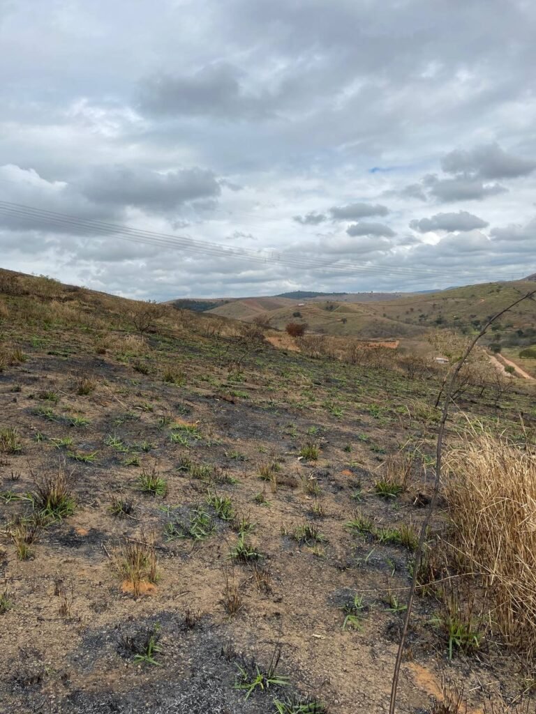 Chácara de 5 Mil mts ( Próxima ao Posto Cherokee — foto 11