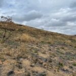 Chácara de 5 Mil mts ( Próxima ao Posto Cherokee — foto 10