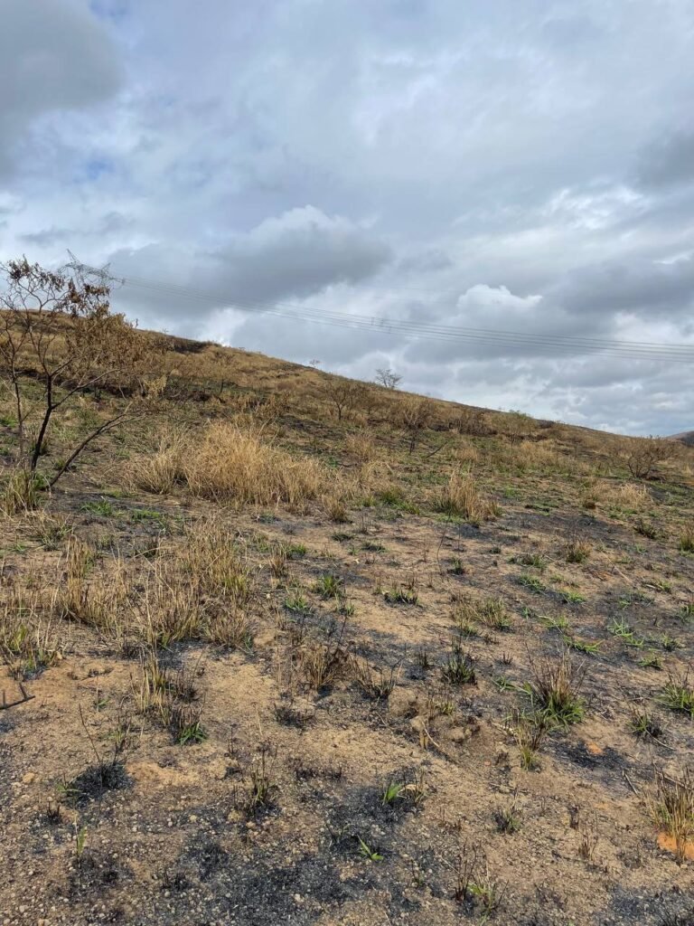 Chácara de 5 Mil mts ( Próxima ao Posto Cherokee — foto 10