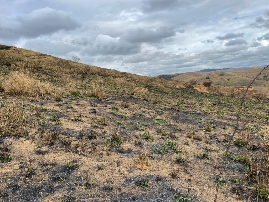 Chácara de 5 Mil mts ( Próxima ao Posto Cherokee — foto 8