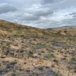 Chácara de 5 Mil mts ( Próxima ao Posto Cherokee — foto 8