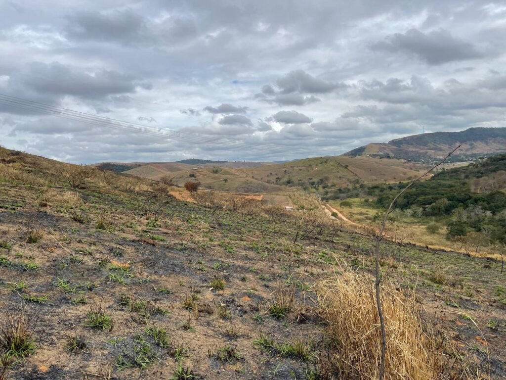 Chácara de 5 Mil mts ( Próxima ao Posto Cherokee — foto 7
