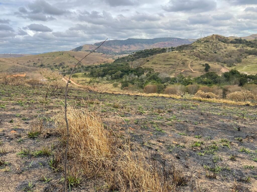 Chácara de 5 Mil mts ( Próxima ao Posto Cherokee — foto 6