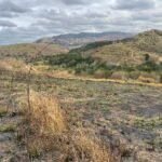 Chácara de 5 Mil mts ( Próxima ao Posto Cherokee — foto 6