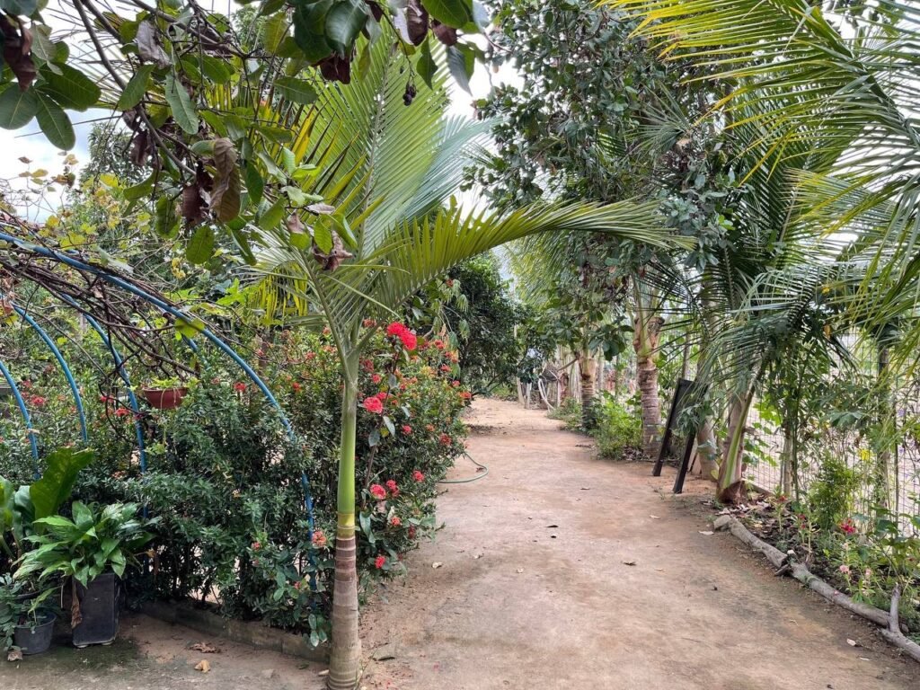 Chácara Paraíso — foto 4