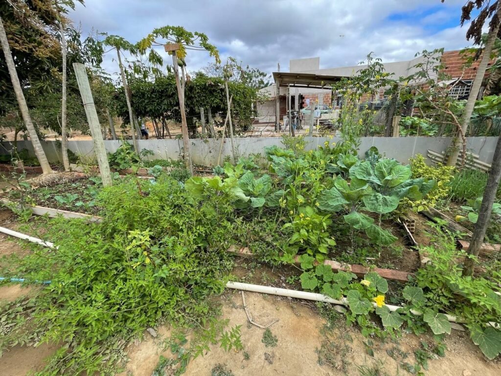 Chácara Paraíso — foto 12