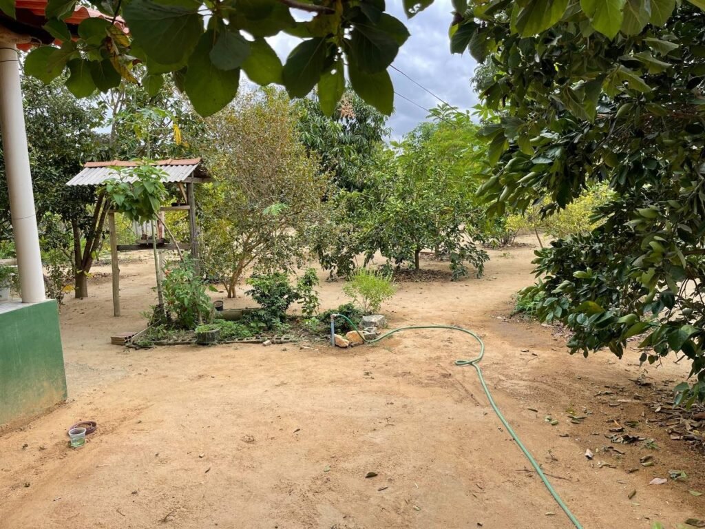 Chácara Paraíso — foto 9