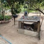 Chácara Paraíso — foto 8
