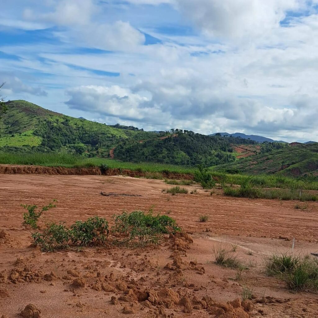 Chácara à Venda em Pontal — foto 10