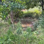 Chácara de 3 Mil mts2 – Serraria ( Pontal — foto 22