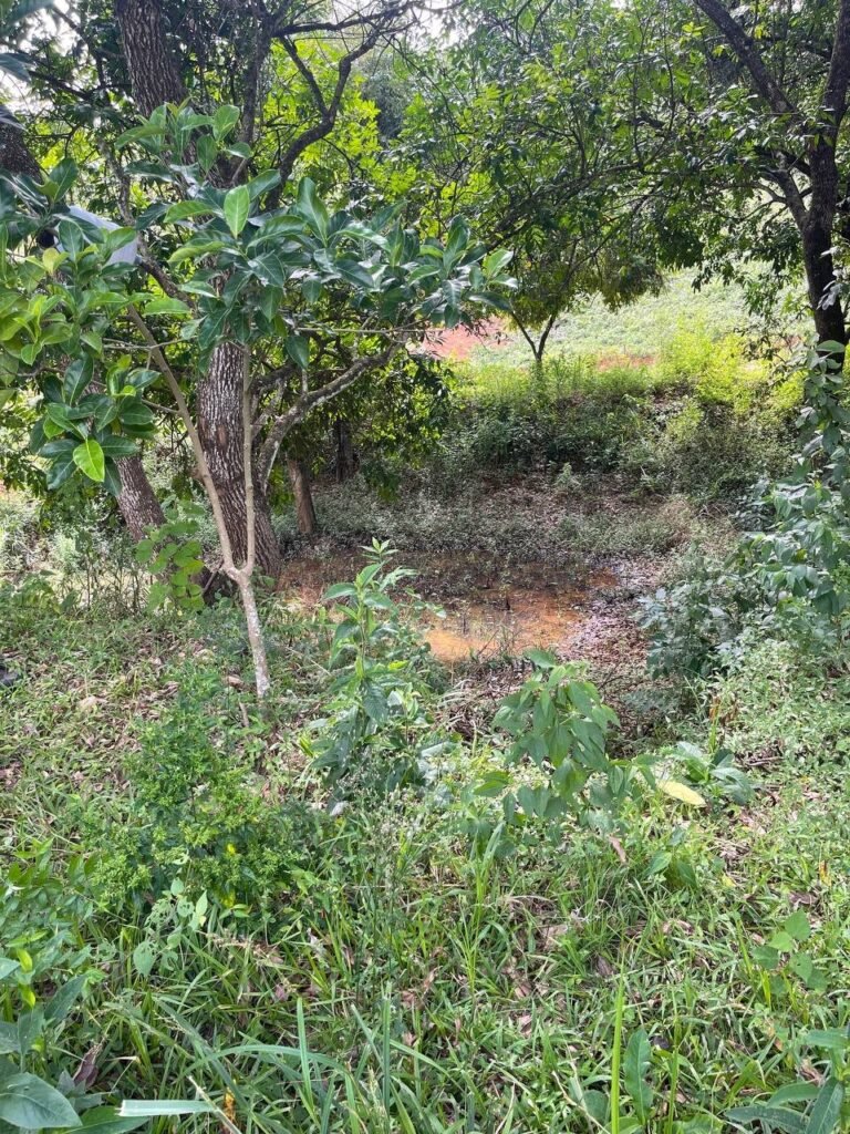 Chácara de 3 Mil mts2 – Serraria ( Pontal — foto 22