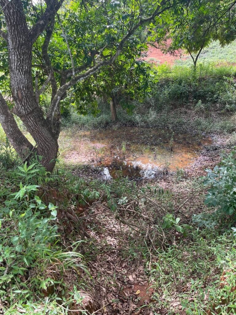 Chácara de 3 Mil mts2 – Serraria ( Pontal — foto 21