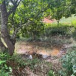 Chácara de 3 Mil mts2 – Serraria ( Pontal — foto 20