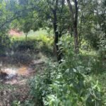 Chácara de 3 Mil mts2 – Serraria ( Pontal — foto 18
