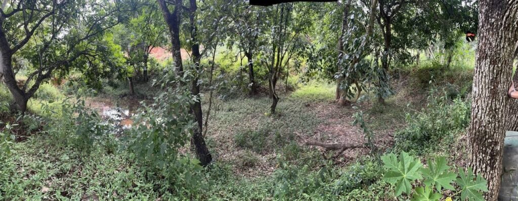 Chácara de 3 Mil mts2 – Serraria ( Pontal — foto 17