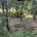 Chácara de 3 Mil mts2 – Serraria ( Pontal — foto 17