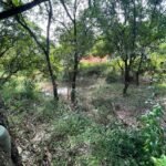 Chácara de 3 Mil mts2 – Serraria ( Pontal — foto 16
