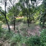 Chácara de 3 Mil mts2 – Serraria ( Pontal — foto 14