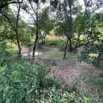 Chácara de 3 Mil mts2 – Serraria ( Pontal — foto 13