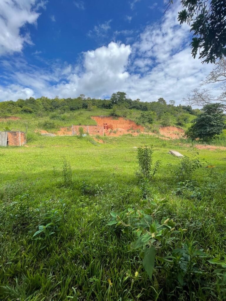 Chácara de 3 Mil mts2 – Serraria ( Pontal — foto 4