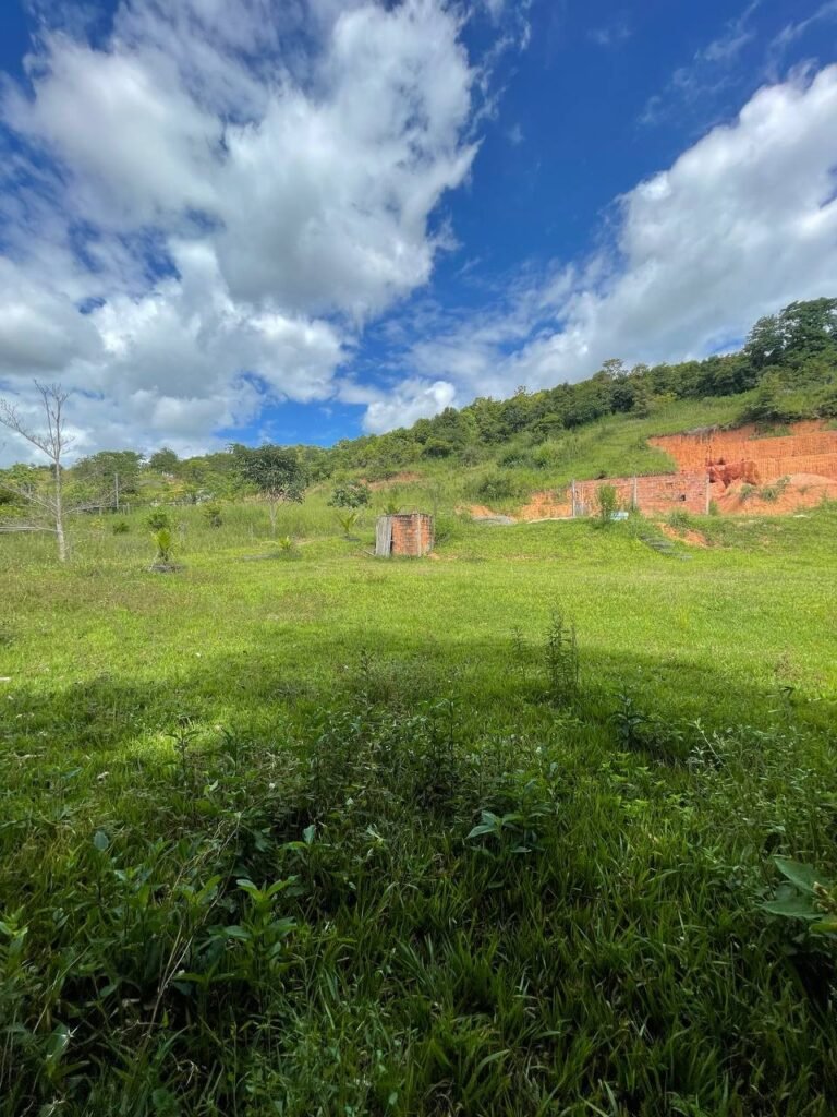 Chácara de 3 Mil mts2 – Serraria ( Pontal — foto 1