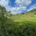 Chácara de 3 Mil mts2 – Serraria ( Pontal — foto 5