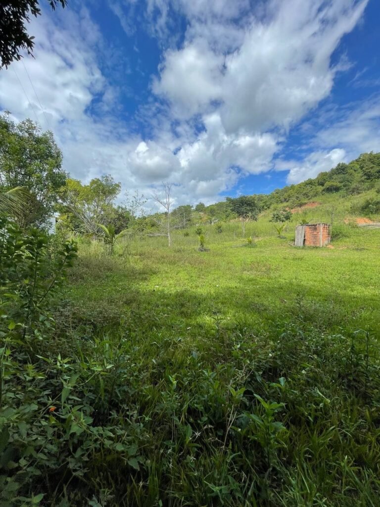 Chácara de 3 Mil mts2 – Serraria ( Pontal — foto 5