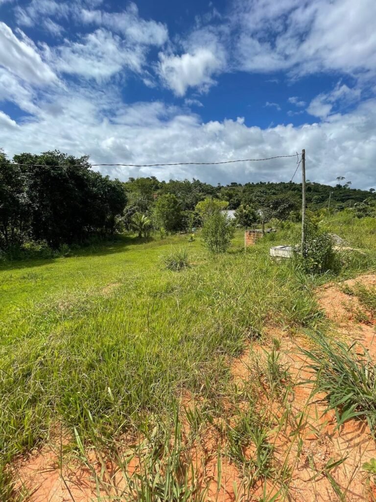 Chácara de 3 Mil mts2 – Serraria ( Pontal — foto 8