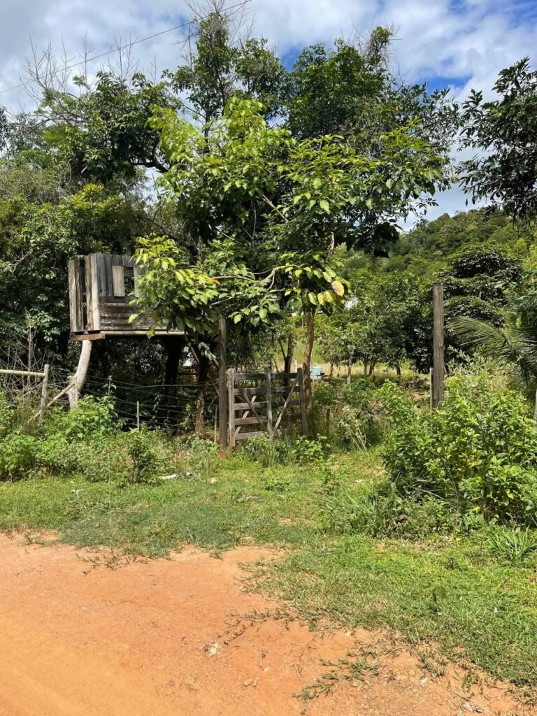 Chácara de 3 Mil mts2 – Serraria ( Pontal — foto 2