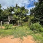 Chácara de 3 Mil mts2 – Serraria ( Pontal — foto 6