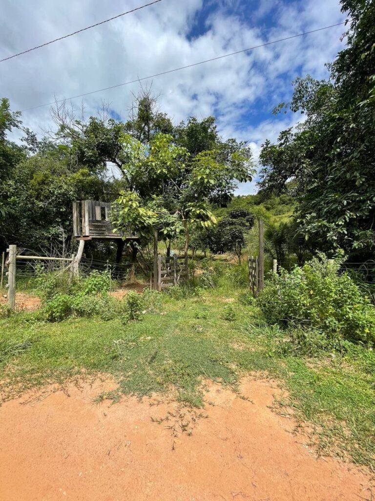 Chácara de 3 Mil mts2 – Serraria ( Pontal — foto 6